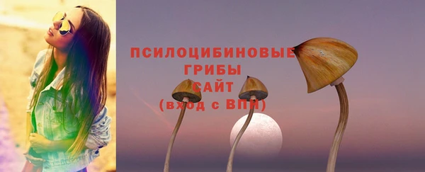 тгк Горнозаводск