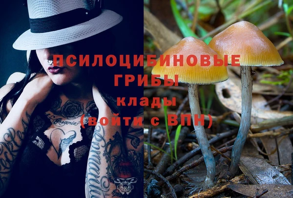 тгк Горнозаводск